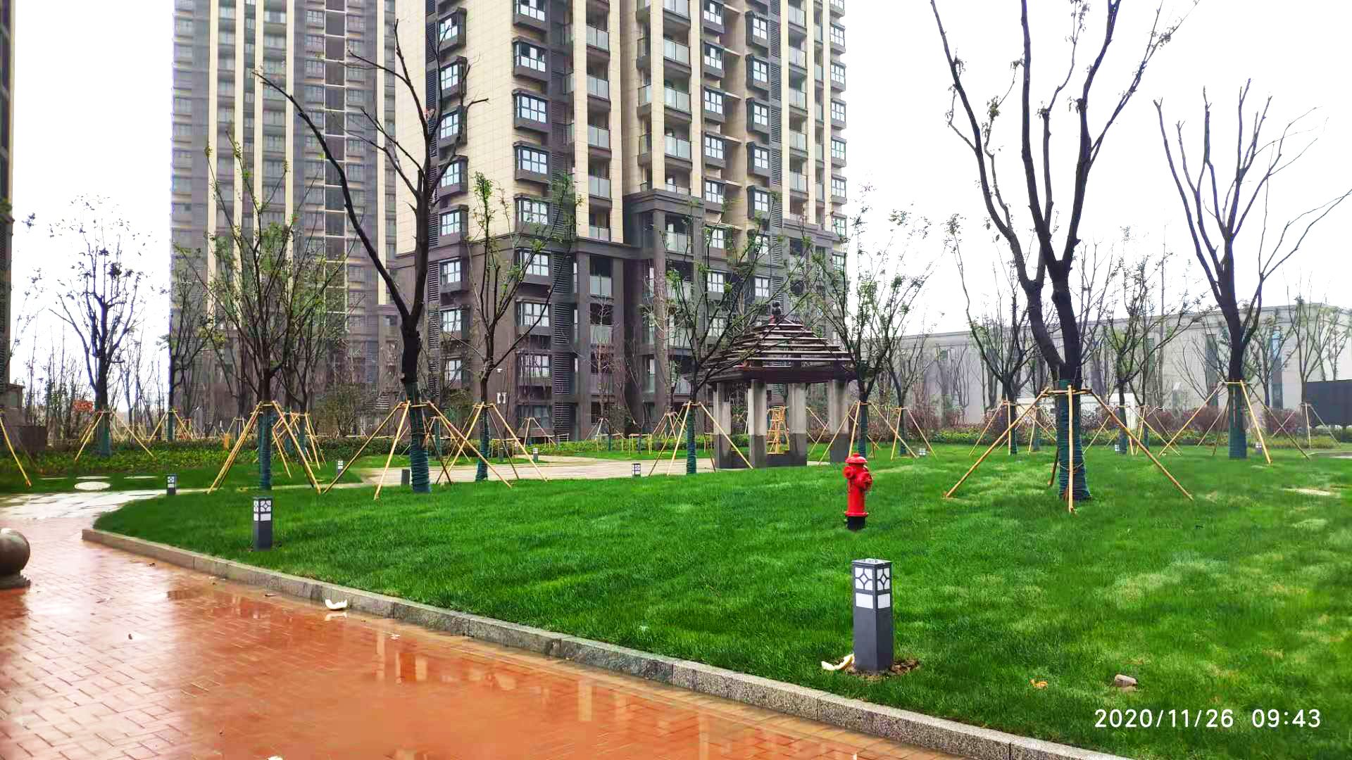 选房进行时！盘福雅苑1290套住房迎来新主人
